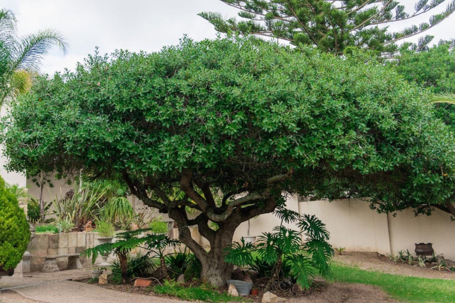 3 Bedroom Property for Sale in Linkside Western Cape